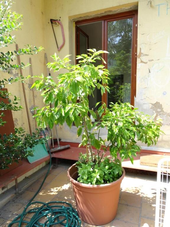 Garden Apartment On Art Nouveau Street In Central Praha Eksteriør bilde